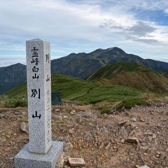 今回はここからの景色が1番やったかも☝️