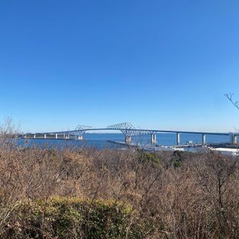 東の小山から。
個人的には、西の小山よりも、ここから見える景色のほうが好き😊
