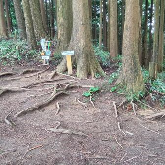 こんな感じ