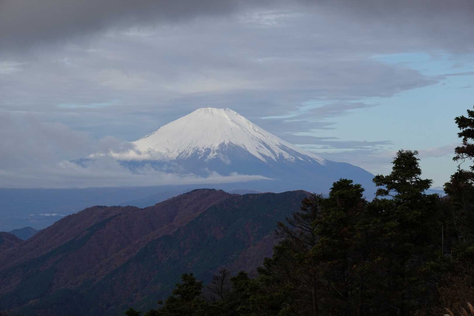 ここから富士山がくっきり見えました。