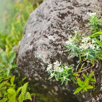 さあ、下山しましょう