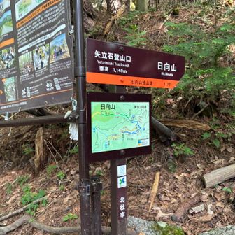 もう一度、林道に出たところが、矢立石登山口になります。ここまで車で来ることも可能ですが、停められる台数が少なく、この日は折り重なるように車が停まっていました（朝早く駐車した方は出るのが難しかったかも）