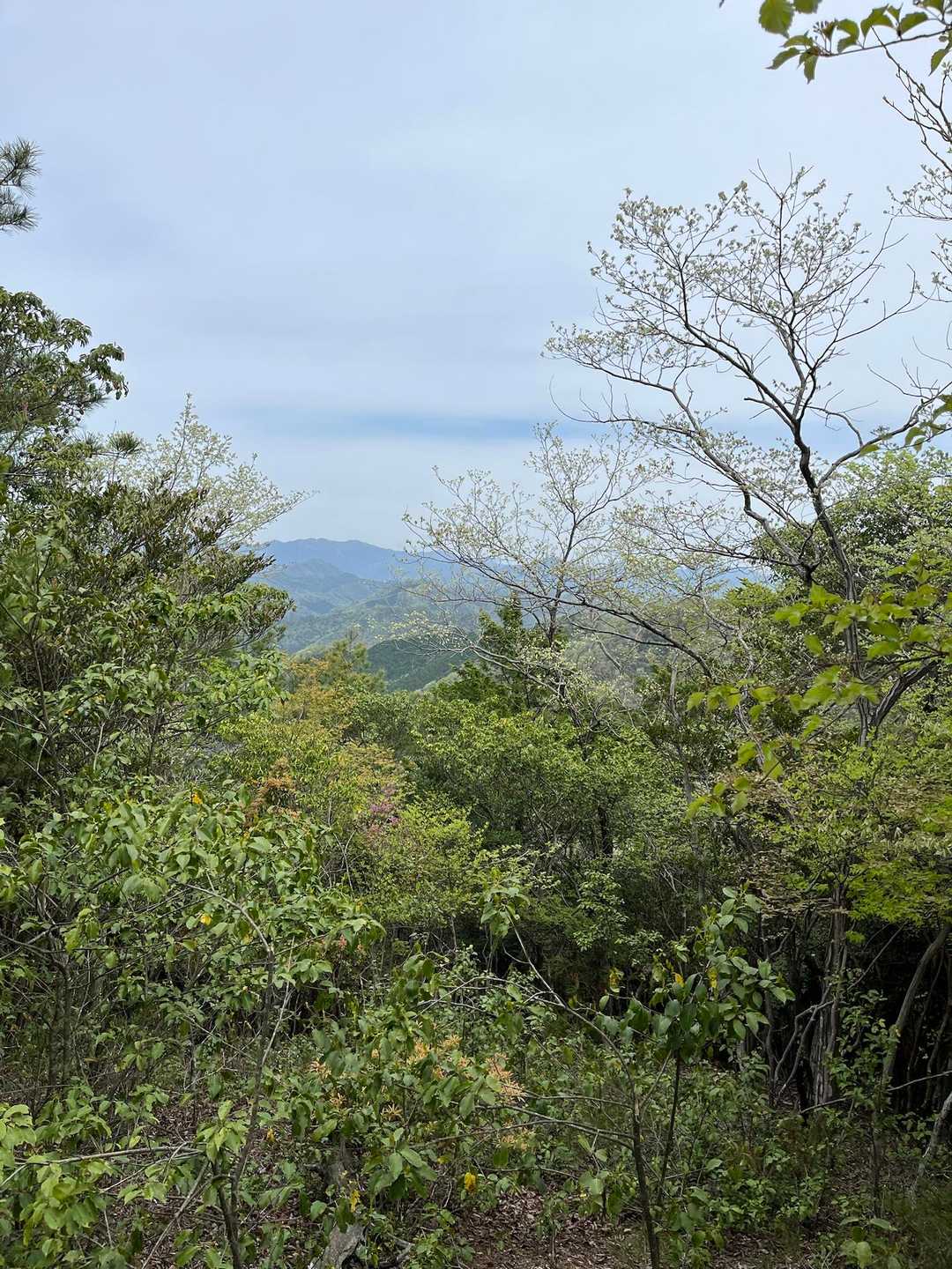 大天井-鎌倉山-小鞍掛 周回コースの写真
