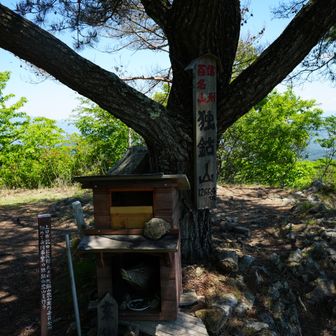 山頂