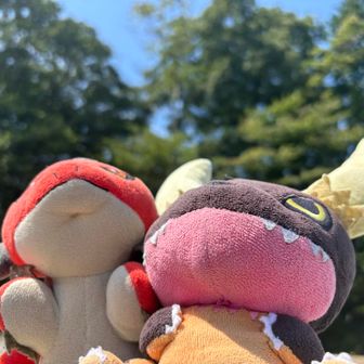無事に下りて来られました〜！