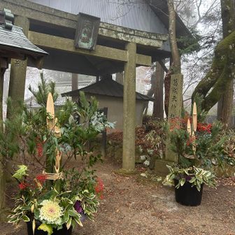 こちらもお正月らしく立派な門松が飾られていました