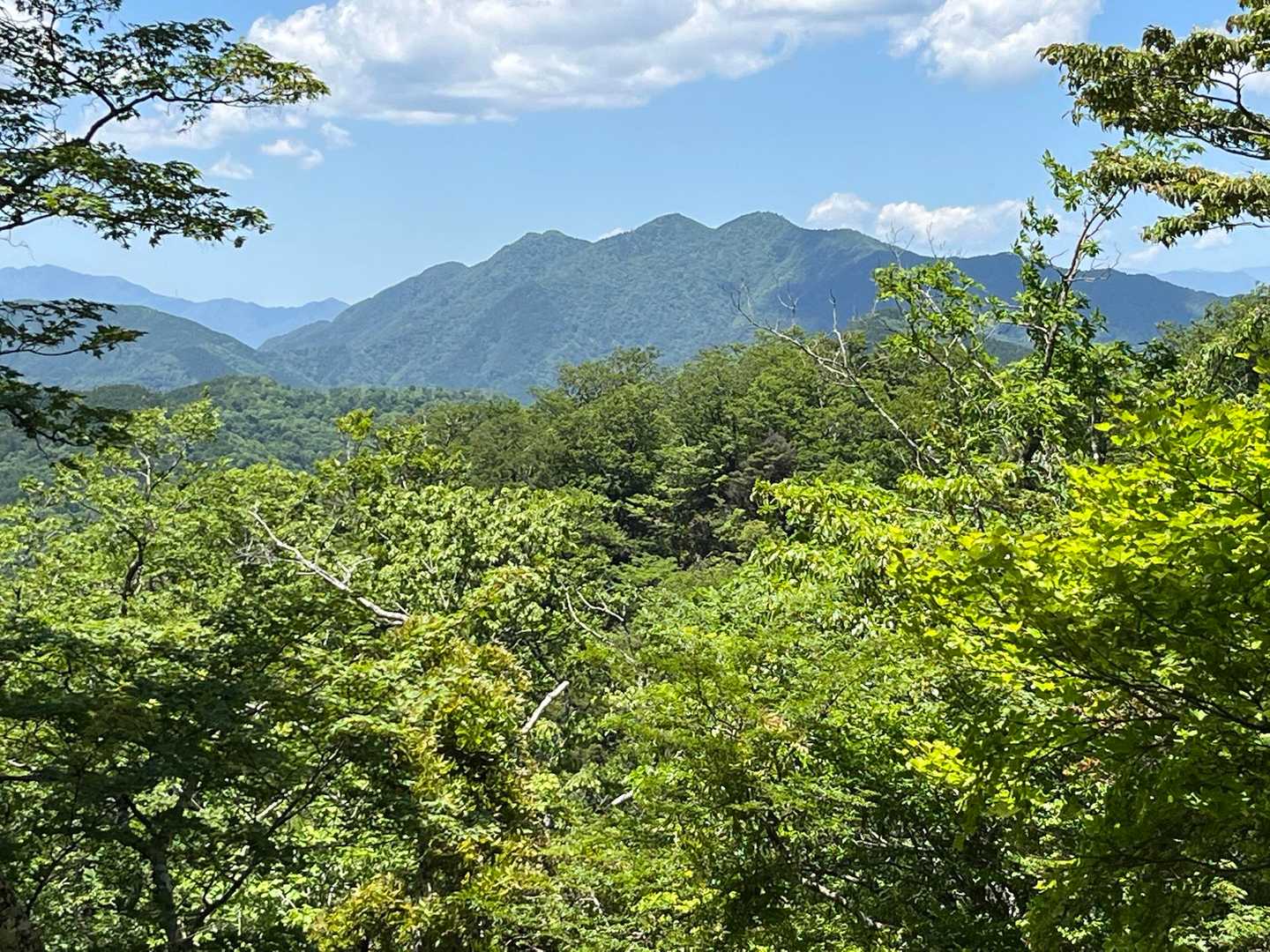 ようやく景色が見えてきました
