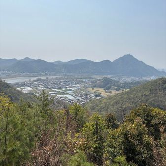 さ♡い♡こ♡う🎶