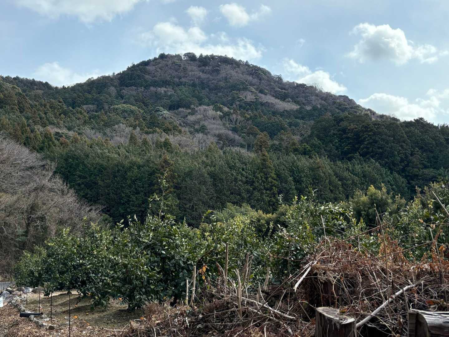 車道から
とかみ山