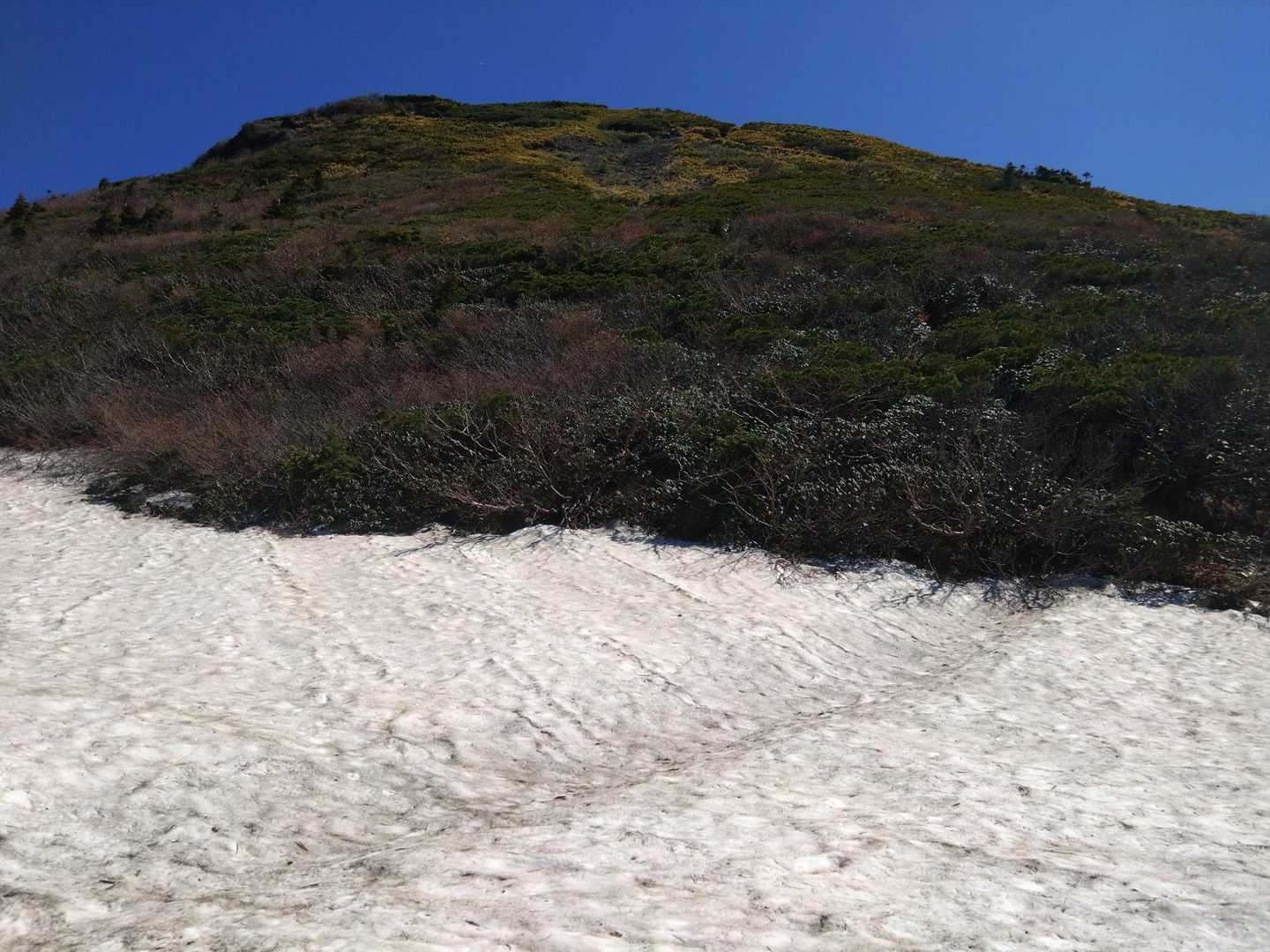 フラットな雪渓を横切り、ガレでちょっと歩きにくい斜面を登りきれば山頂です😆