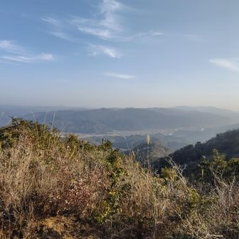 山頂からの景色。
