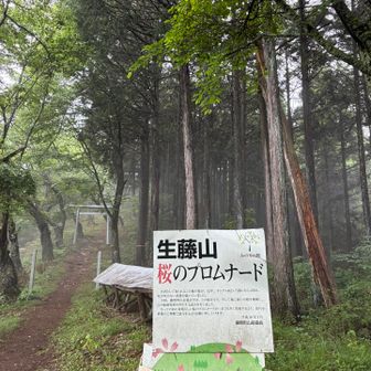 桜の頃来てみたい