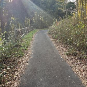 再び舗装道まで下りてきました