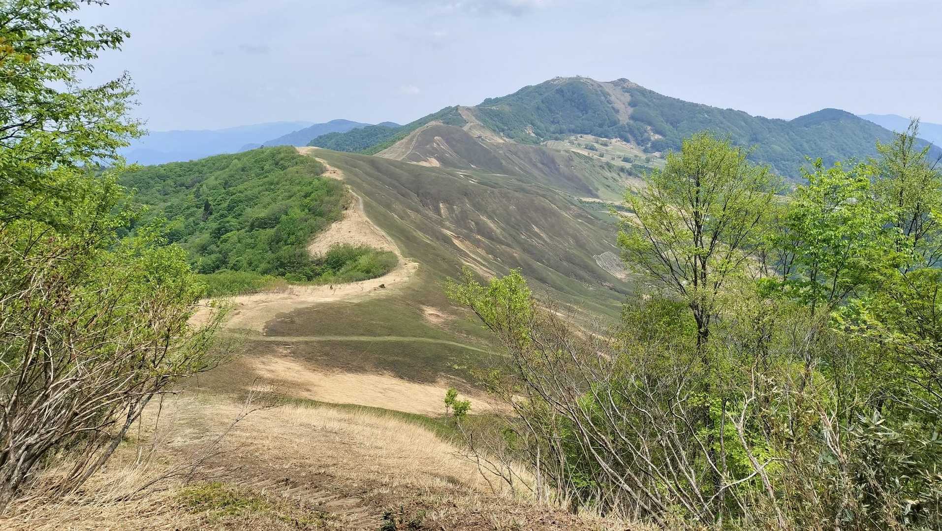 東尾根登山口-氷ノ山-小代越-高丸山-鉢伏山-ハチ高原バス 周回コースの写真