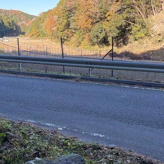 道路を進む🛣️🚶‍♀️⭐️🍄‍🟫✨️