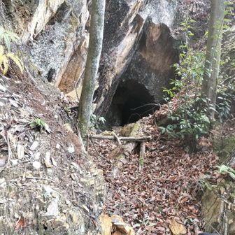 ここにも洞穴