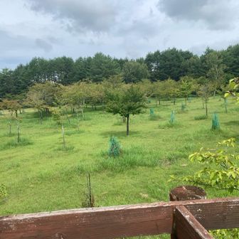 広場が見渡せます。お山は見えそうにありません😂