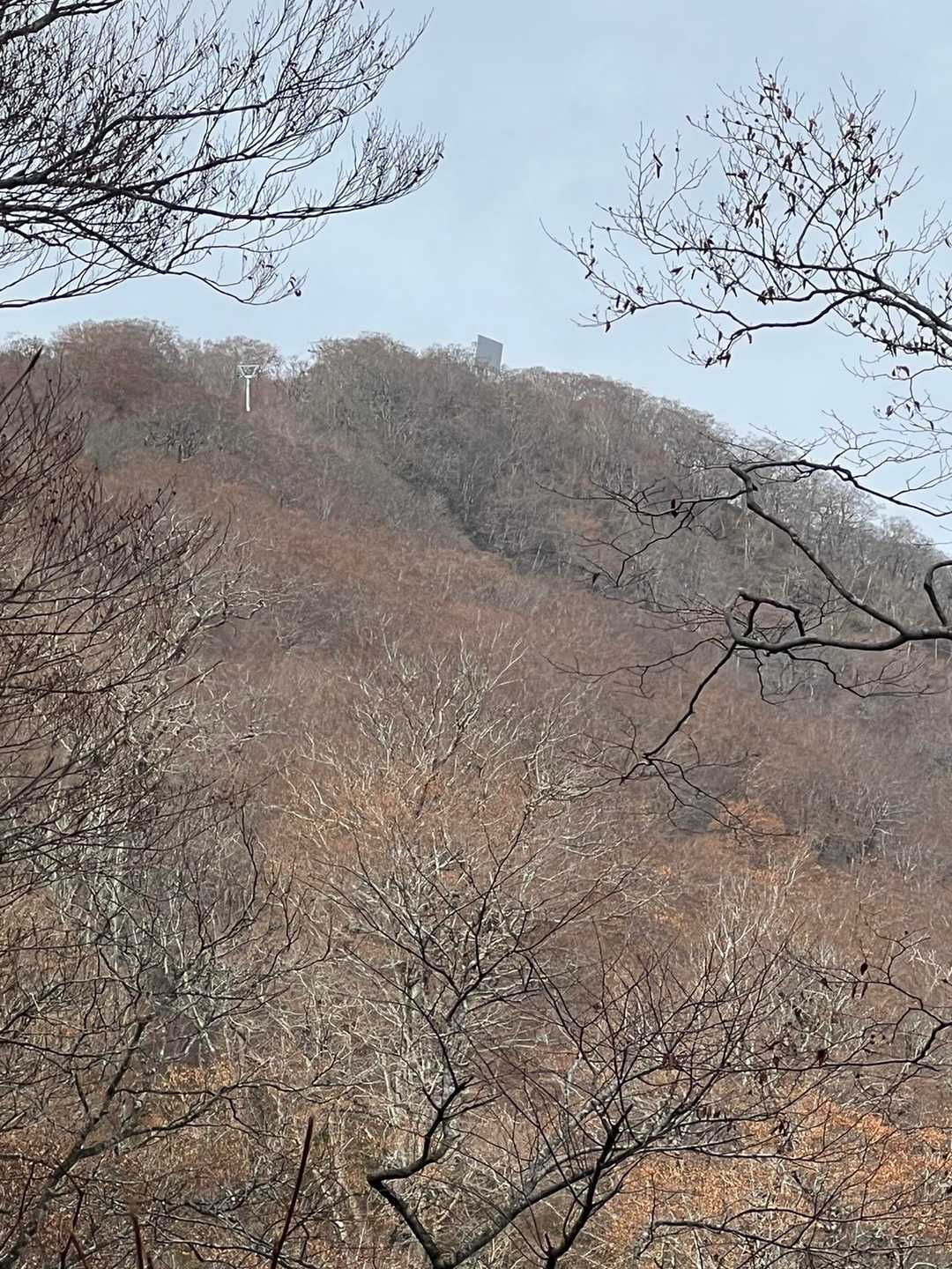 反射板らしきものが見えますが、山頂はあの辺かな🤔