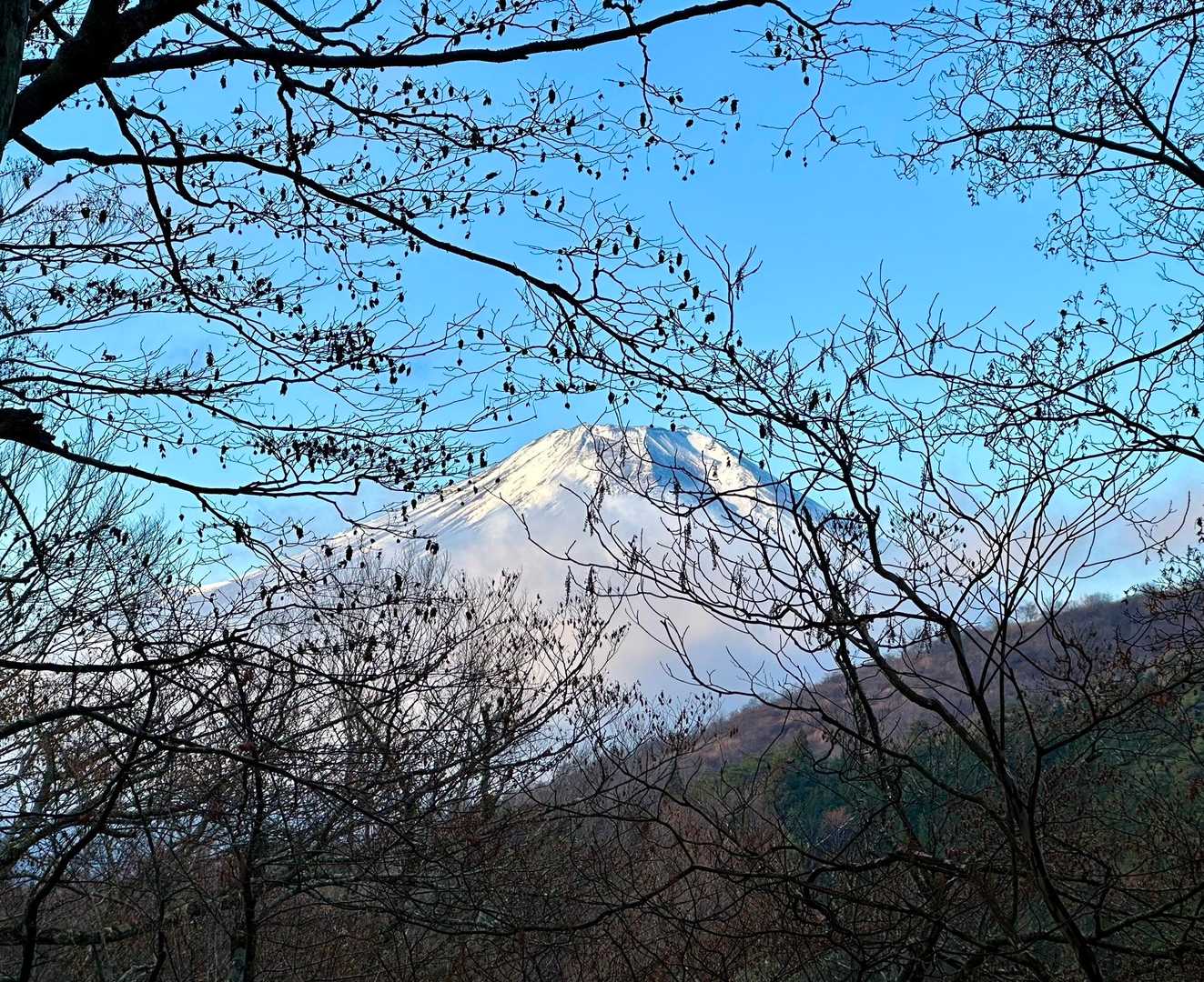 登山道から🗻富士山^ ^