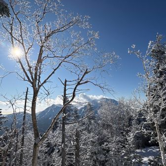 早く登れるようになりますように…🥺
と、お祈りをして…🙏
ﾌｯﾌﾟｼ岳には、またトレーニングしに来るねと😅