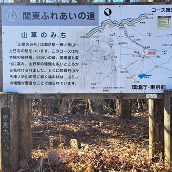 関東ふれあいの道っていろんなところで見る気がする🙄