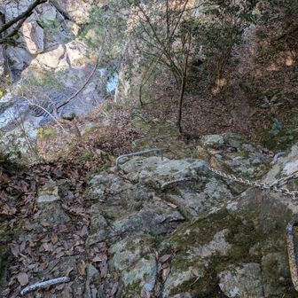 上から見ても✌️