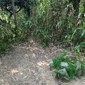 頂上看板だけじゃないとなんかうれしい