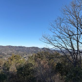 見晴らしは。。。。