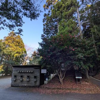 「21世紀の森　駐車場」から