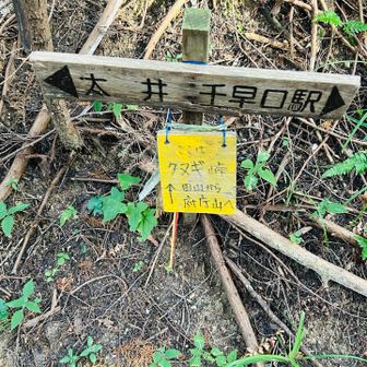 クヌギ峠。