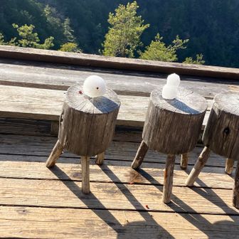 雪❄️は、日陰にあったので、
山頂迄溶けすに良かった。
手作りの可愛い椅子🪑🩷