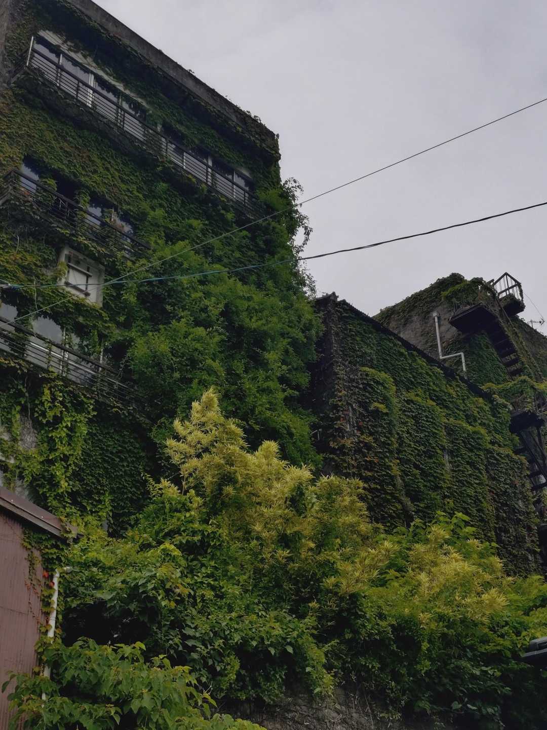 弘法山 周回コースの写真