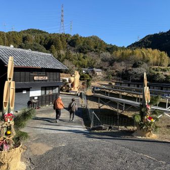 最後は車道を歩いて倉見のこんにゃく亭へ戻りました。