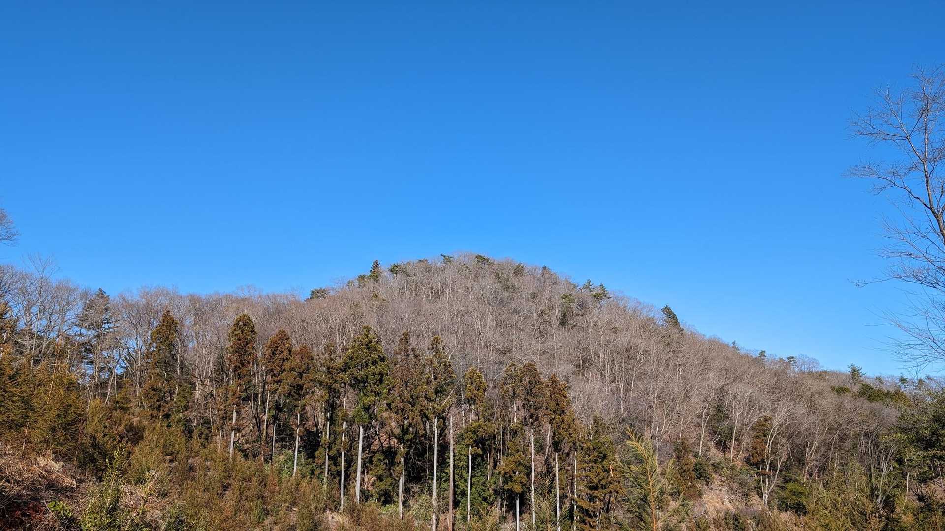 仏国寺-高取山 往復コースの写真