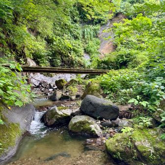 いつもの橋🌉
