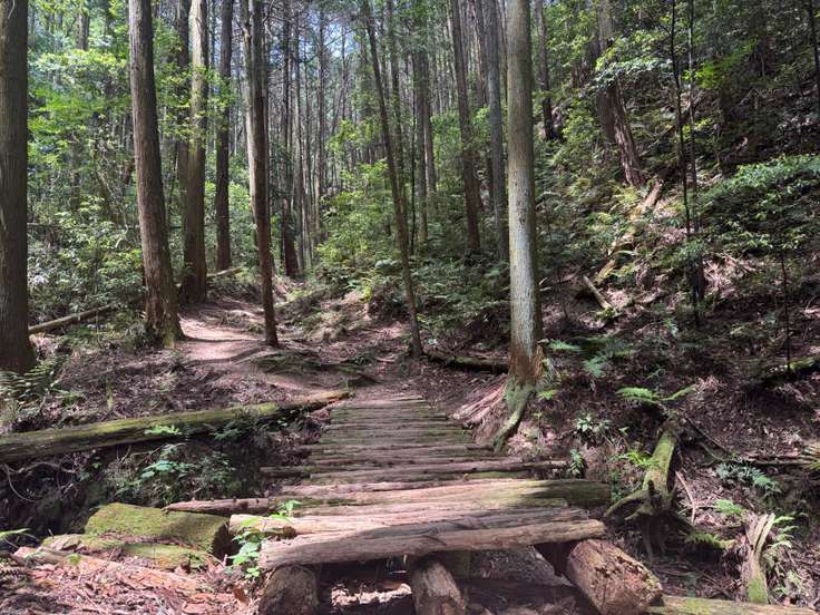二上山（雌岳）（金剛山・二上山・大和葛城山 / 大阪・奈良
