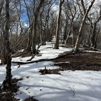 もうちょっとでピーク。
