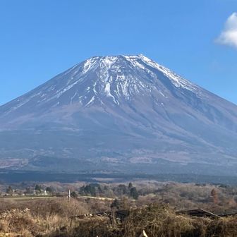 kou