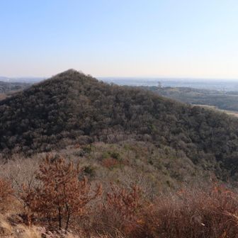 景色良いなぁ。