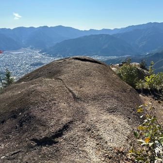 これが、牛🐃の背