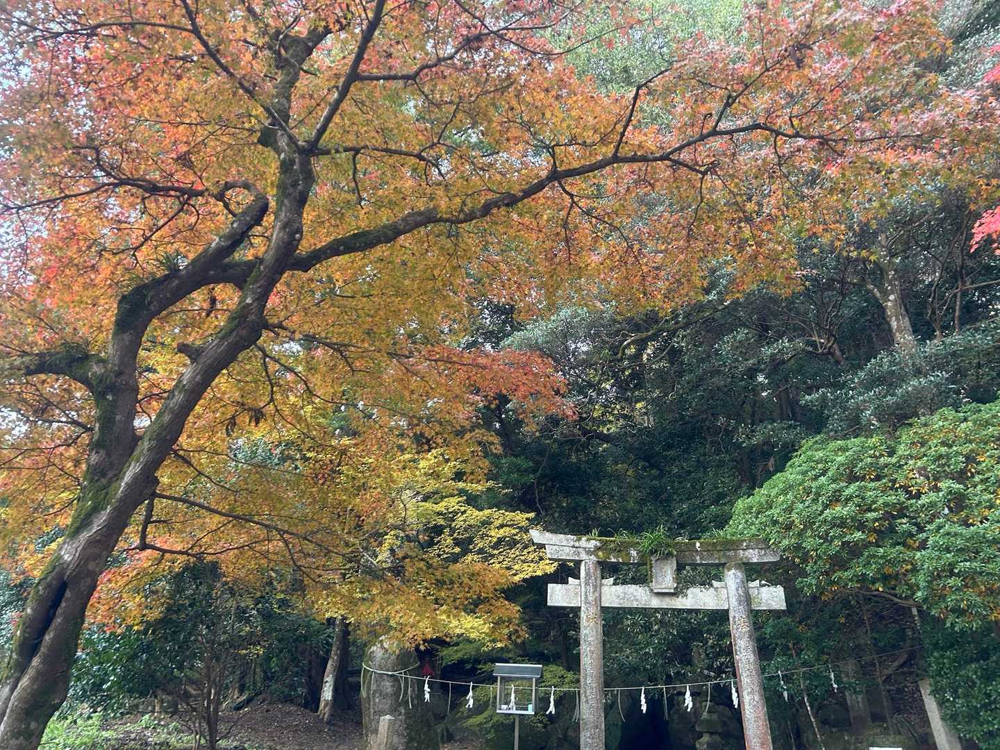 天拝山 | 天神さまが祈りを捧げた山頂へ。下山後は名湯・二日市温泉への写真