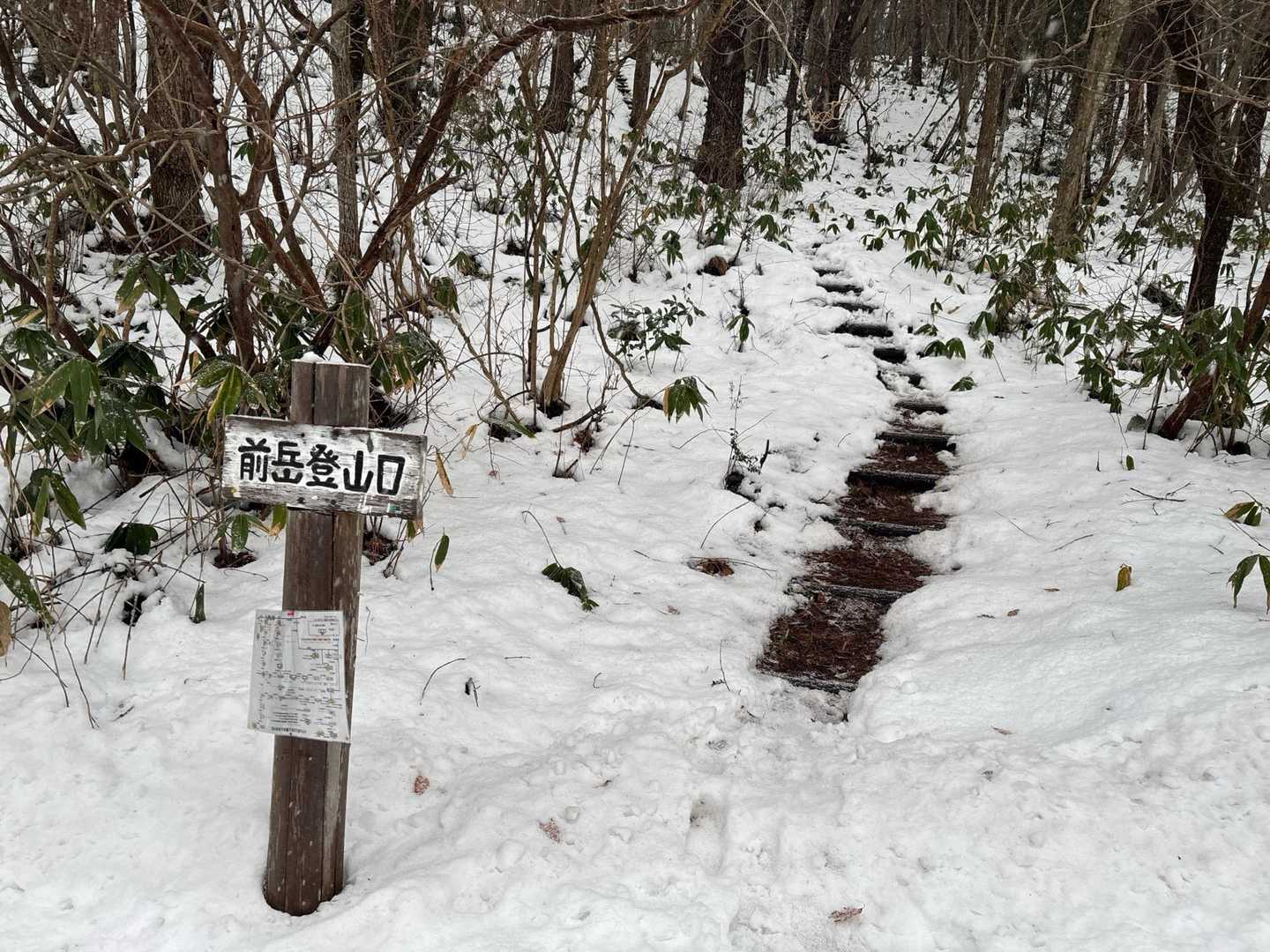 ここから登るの初めて！