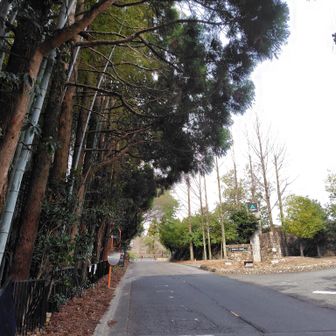 前半このゴルフ場の周囲を歩きました