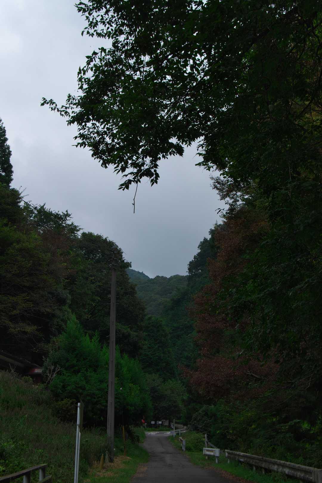 晴れの天気予報でした❕🤔