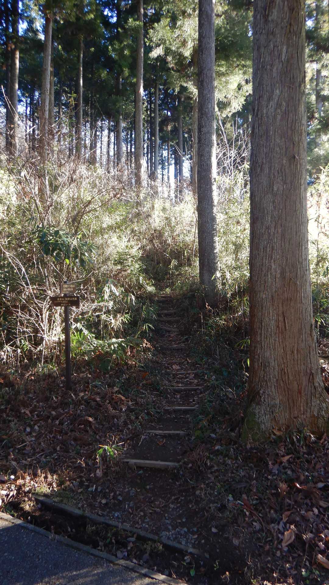 長倉山の登山口からスタートします🚶‍♂️