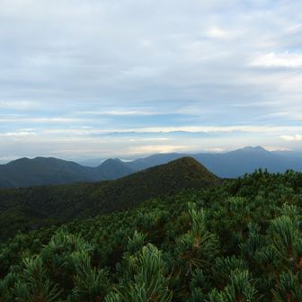 下山路、先に見えるのは本谷山かな？