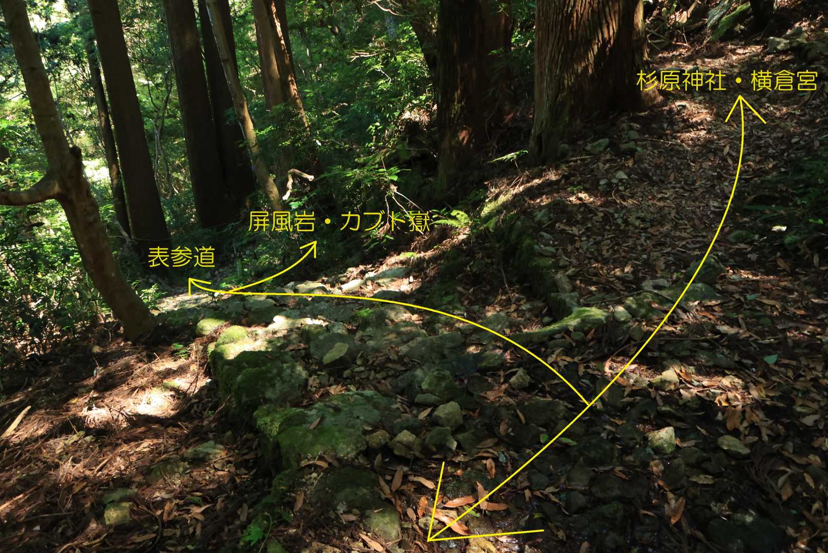 こういう感じ
この後、私は手前の矢印へと進みました