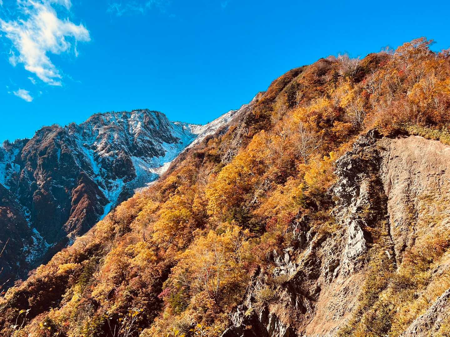 三方崩山 往復コースの写真