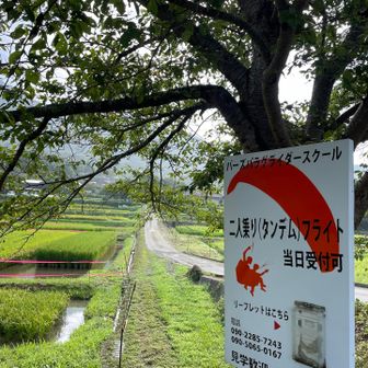 山頂はパラグライダー基地になっています
いつか乗ってみたい🪂