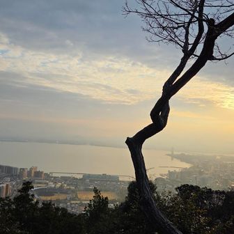 もう一度テラスに戻って…
清々しい朝